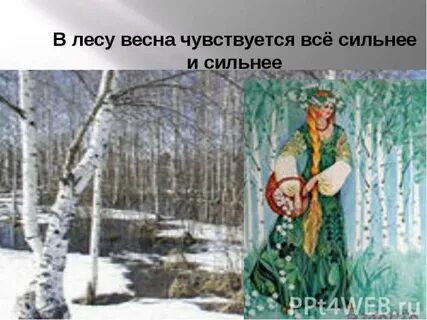 В весеннем лесу скребицкий презентация
