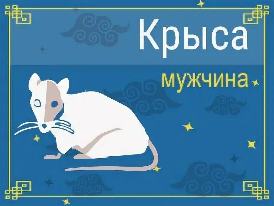 Мужчина крыса. Мужчина Дева крыса. Мужчина крыса характеристика. Мой муж крыса. Весы крыса мужчина совместимость