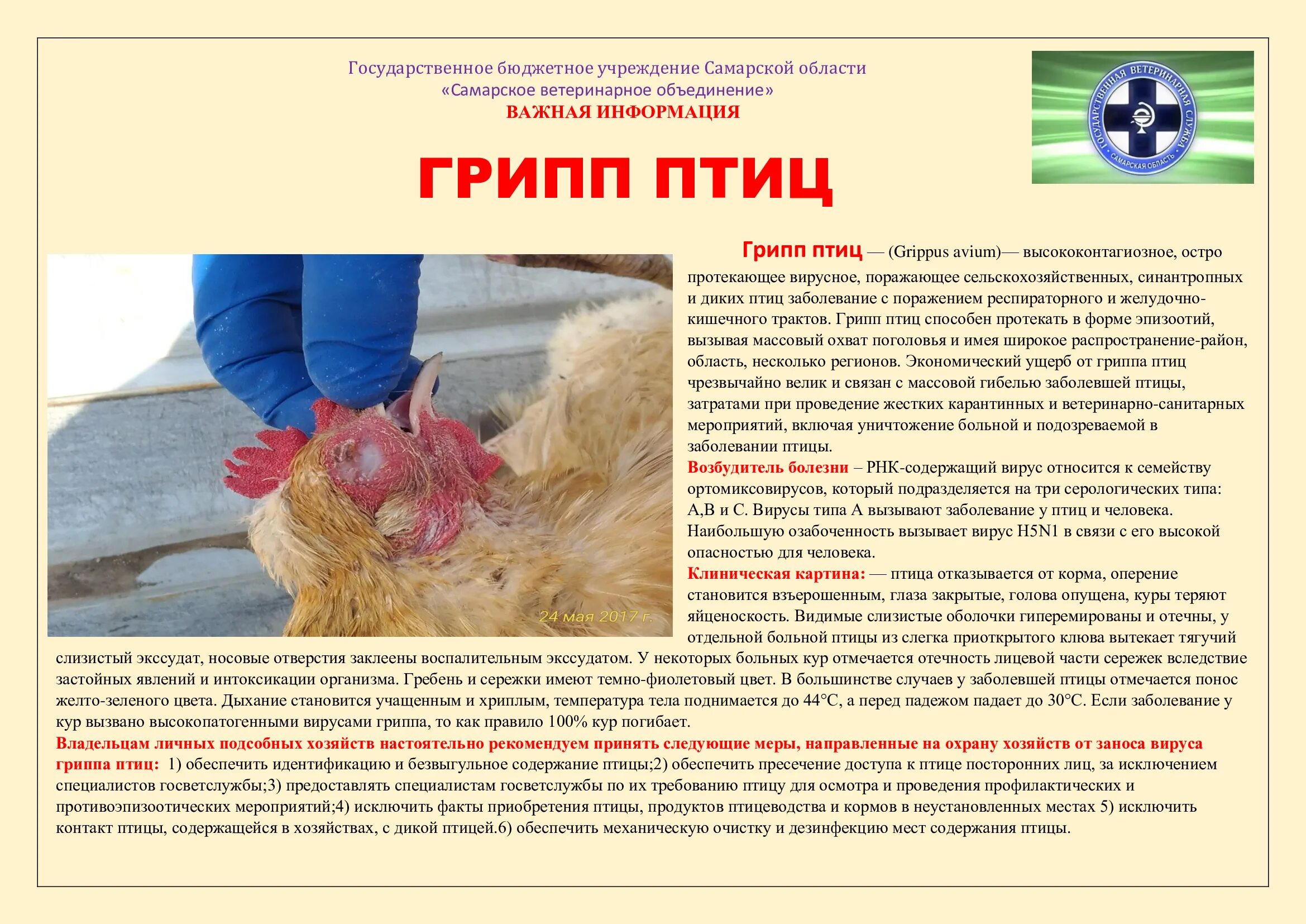 Как формируется предмет доказывания. Что нужно исключить из рациона. Презюмируемые факты в гражданском процессе. Исключить факты. Презентация юридическое значение документов.