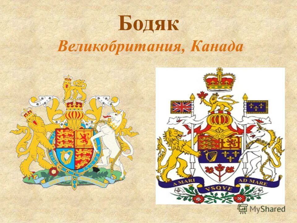 Сообщение на тему цветы на гербах разных стран. Гербы стран на которых изображены растения. Гербы стран. Гербы стран на которых изображены растения. Гербы стран.