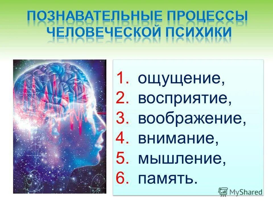 Психология память мышление воображение. Восприятие память ощущение воображение. ощущение восприятие память мышление воображение это. ощущение восприятие память внимание воображение это. ощущение восприятие внимание память.