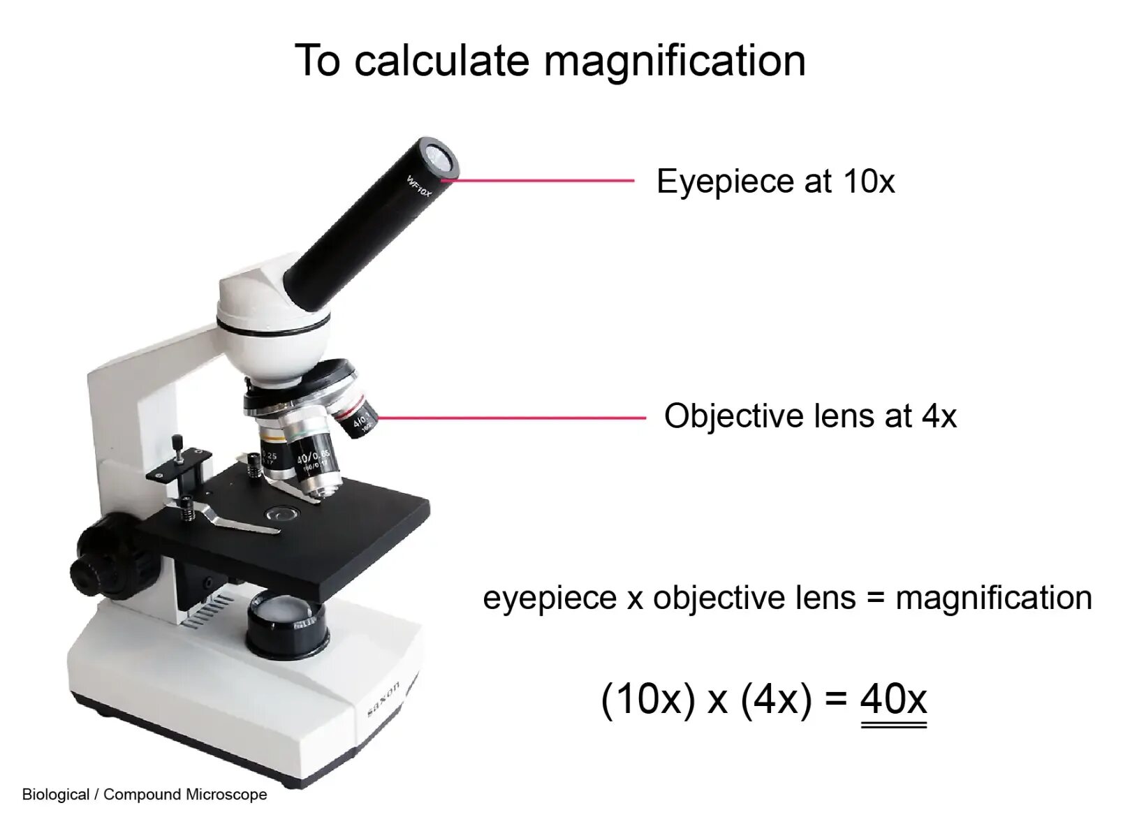 Какое увеличение у цифрового микроскопа. Увеличение в микроскопе 10x. Окуляры для микроскопа 40x. Микроскоп 10 кратный монокулярный. Увеличение окуляра и объектива у микроскопа.