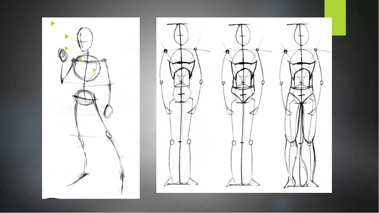 Люди изо. Пропорции человека для рисования. Фигура человека для рисования. Пропорции фигуры чловек. Пропорции фигуры человека для рисования.