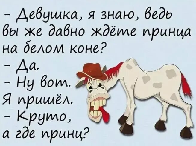 Смешные истории из жизни животных. Смешные анекдоты про животных. анекдоты про животных в картинках. детские анекдоты про животных. анекдоты про животных самые смешные.
