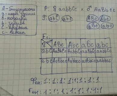 Близорукость наследуется как аутосомный доминантный признак