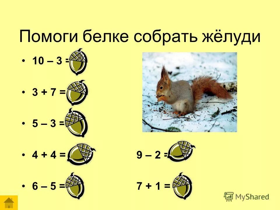 сочинение зверьки осенью. Sciurus richmondi. белочка с орехом. шарташский лесопарк -животный мир. белка с мешком орехов.