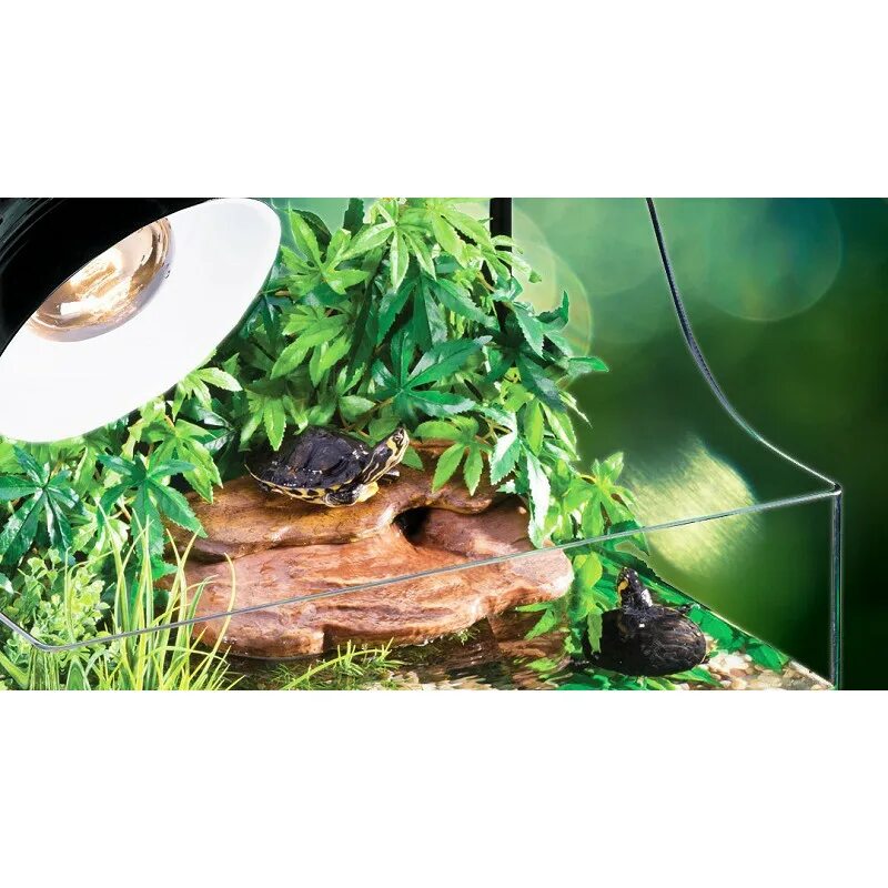 Ультрафиолетовые лампы для красноухих черепах. УФ лампа для красноухой черепахи. EXO Terra Reptile лампа для красноухих черепах. EXO Terra Reptile лампа для красноухих черепах 10.0. УФ лампа для черепах красноухих.