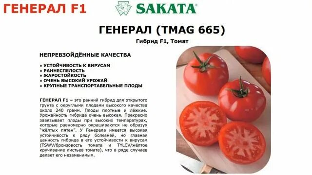 Томат Генерал F1, 10шт (Франция) купить в интернет-магазине