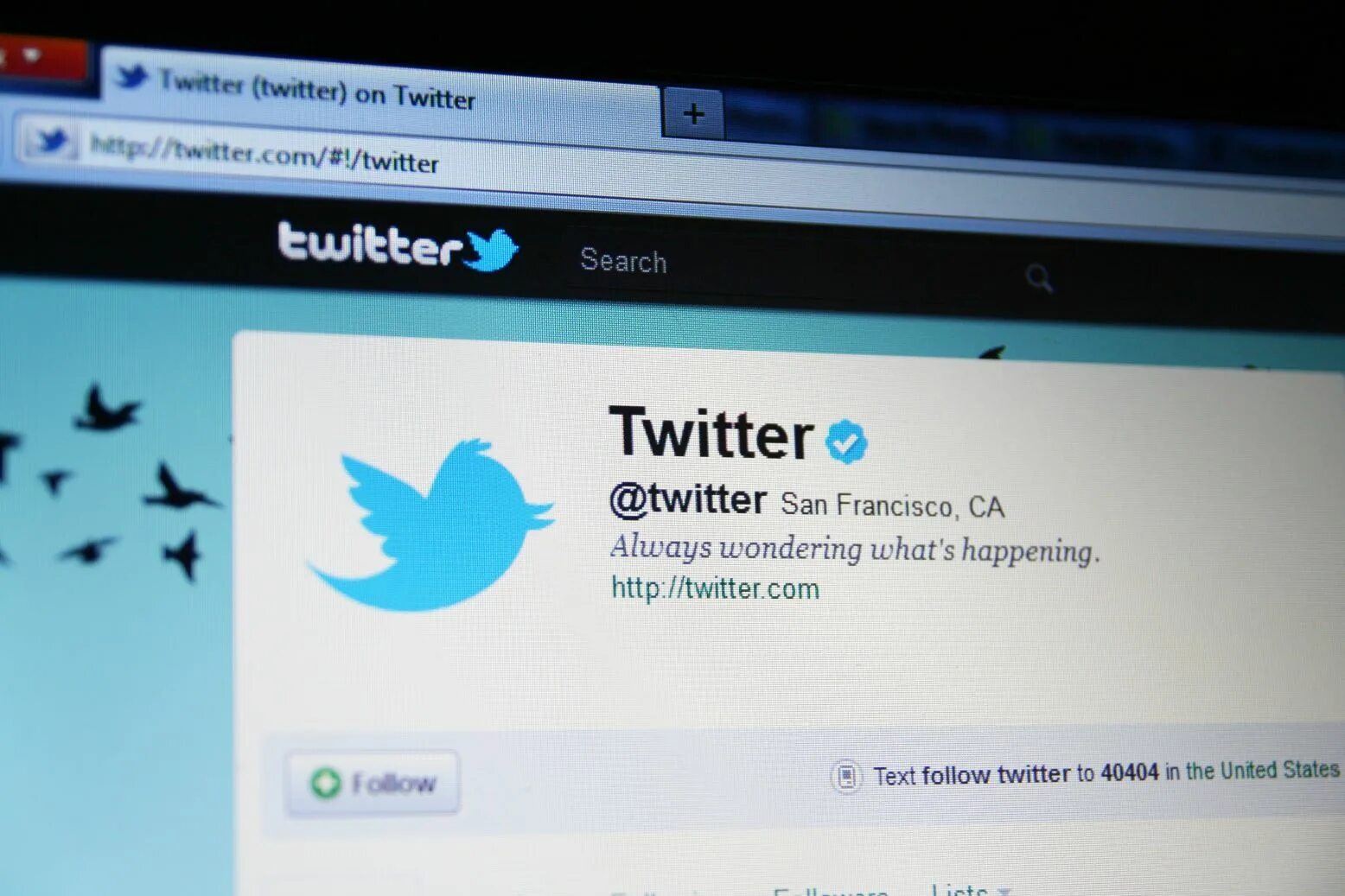 Twitter видео. Твиттер пост. Сообщения в твиттере. Твиттер лого. Птичка твиттер.