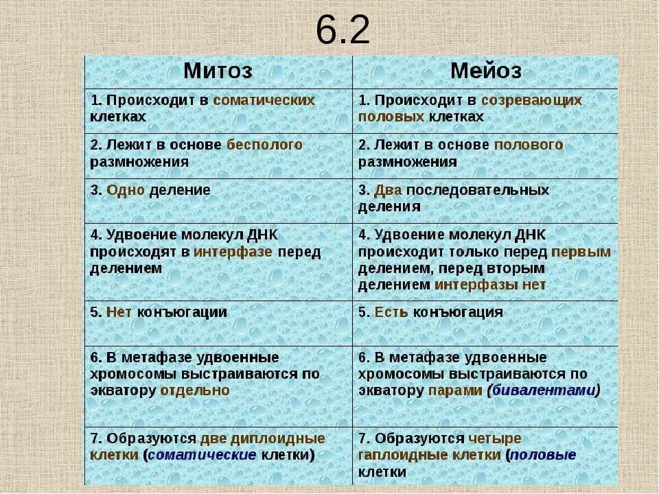 Отличие митоза от мейоза. Деление клетки митоз и мейоз таблица. фазы деления митоза и мейоза таблица. митоз мейоз подробная таблица. сравнительная характеристика процессов амитоза митоза мейоза.