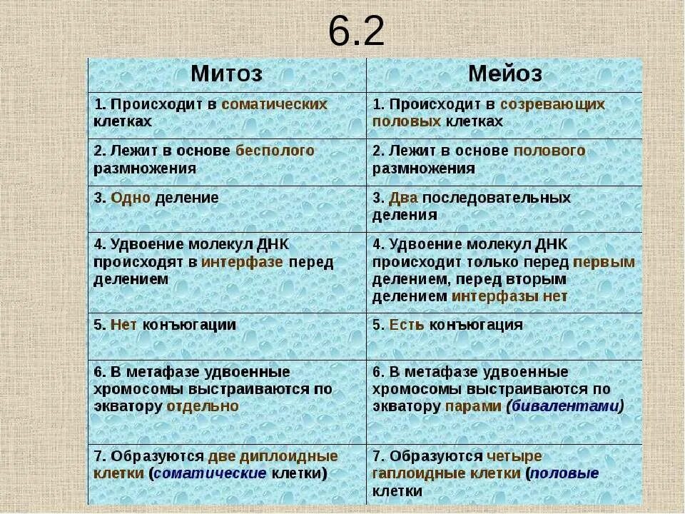 Сравнение митоза и мейоза таблица. Деление клетки митоз и мейоз таблица. Фазы деления митоза и мейоза таблица. Митоз мейоз подробная таблица. Сравнительная характеристика процессов амитоза митоза мейоза.