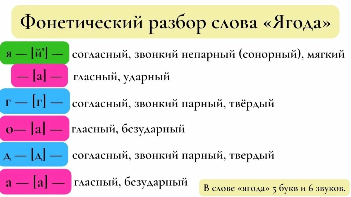 Разбор слова ягода. Фонетический анализ ягода. Звуко буквенный анализ слова ягода. Ягода фонетический разбор. Пенек фонетический разбор