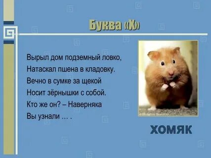 Слово хомяк 7.07