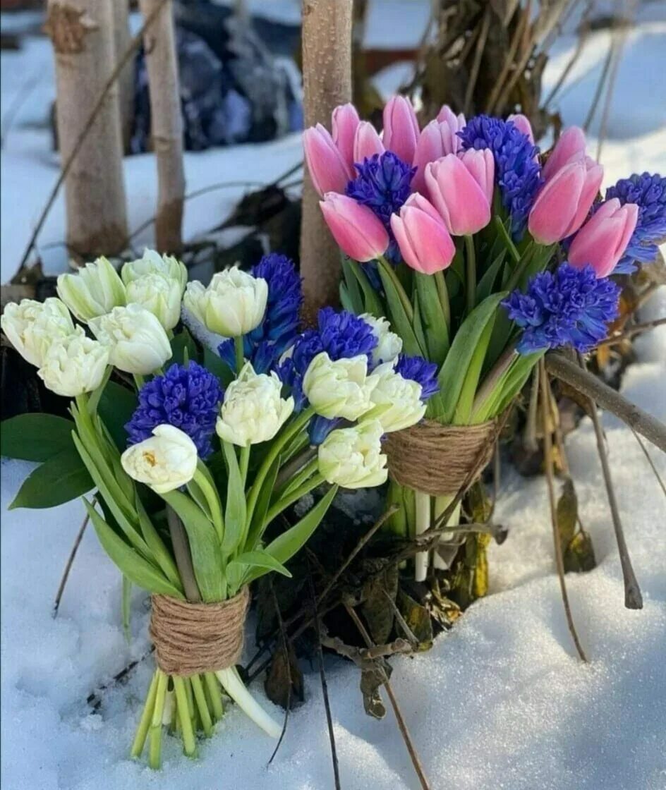 А знаешь к весне уже дни полетели. А знаешь к весне уже дни полетели. А знаешь к весне уже дни полетели. Кошки на окошке. Пробуждение природы.