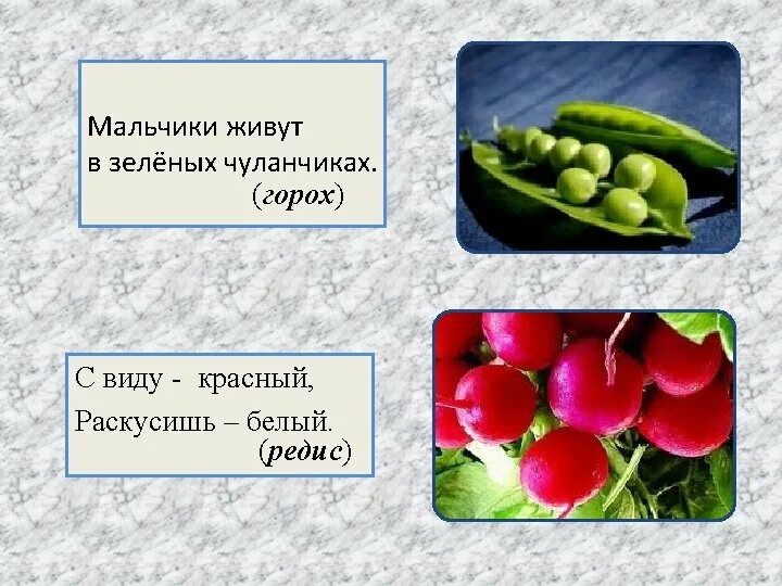 Десять мальчиков спрятались в чуланчики. С виду красная раскусишь белая. десять мальчиков живут в зеленом чуланчике ответ. кроссворд кораблик мальчики живут в зеленых чуланчиках. всякому мальчику по чуланчику ответ на загадку.