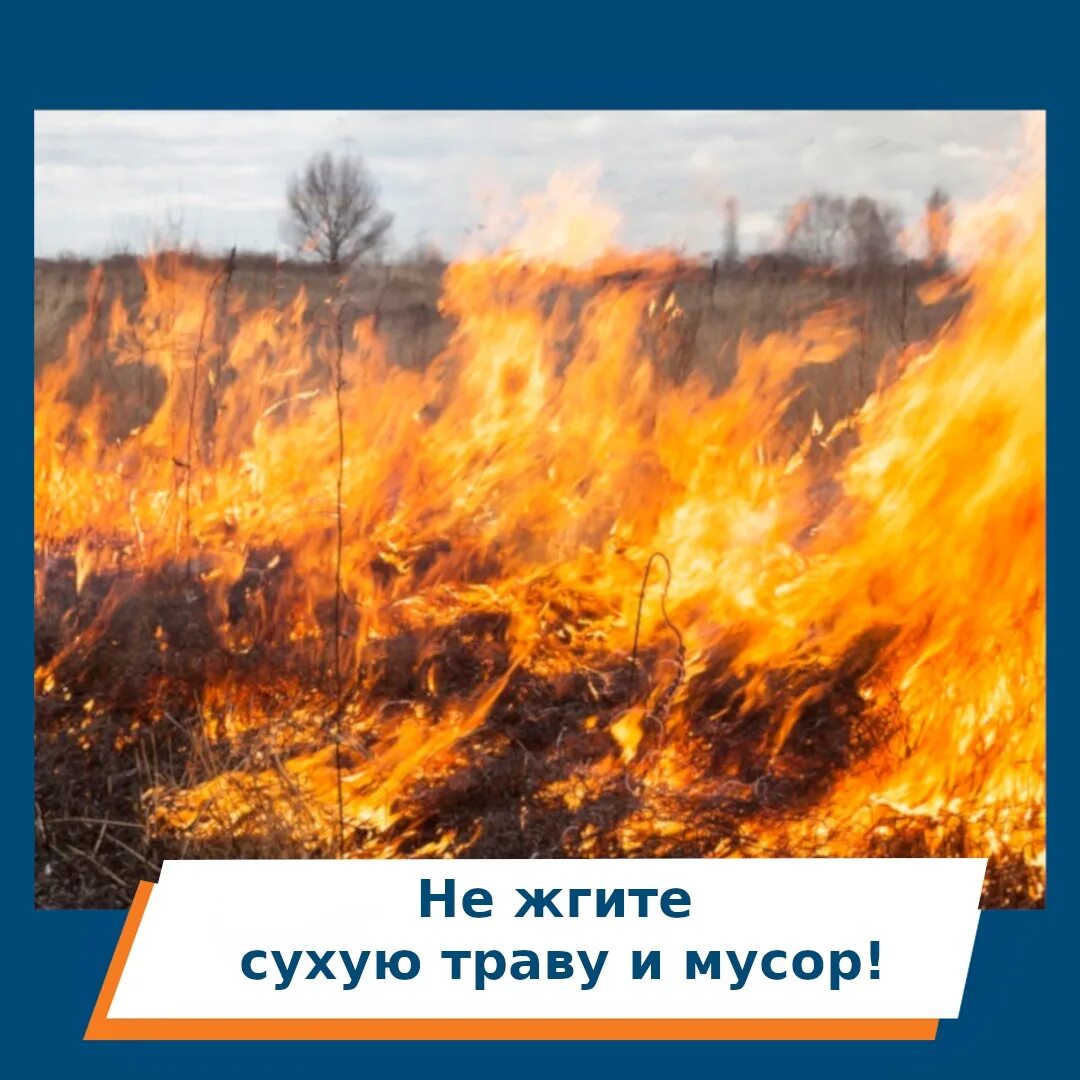 Не жгите сухую траву