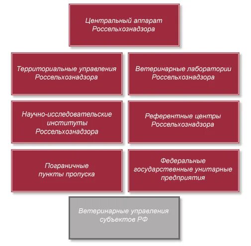 Структура ветеринарной службы и Россельхознадзор РФ. Структура государственной ветеринарной службы МСХ РФ. Государственная ветеринарная служба РФ (структура, функции). Структура центрального аппарата Россельхознадзора. Органы управления сельским хозяйством