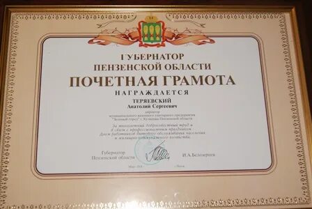 Почетная грамота губернатора
