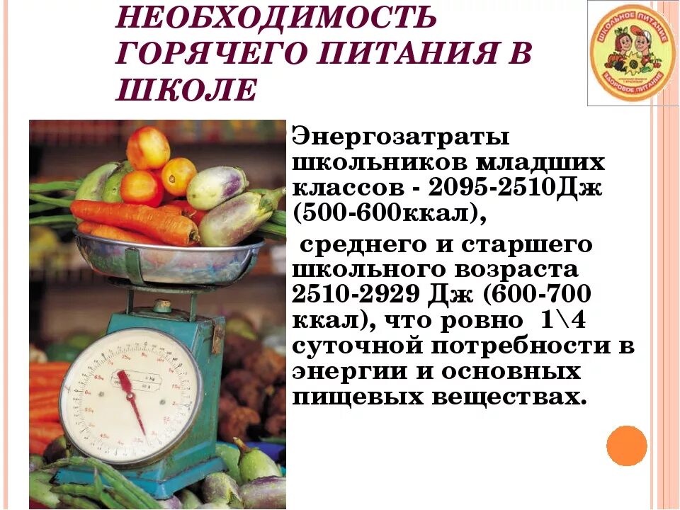 Организация питания значение