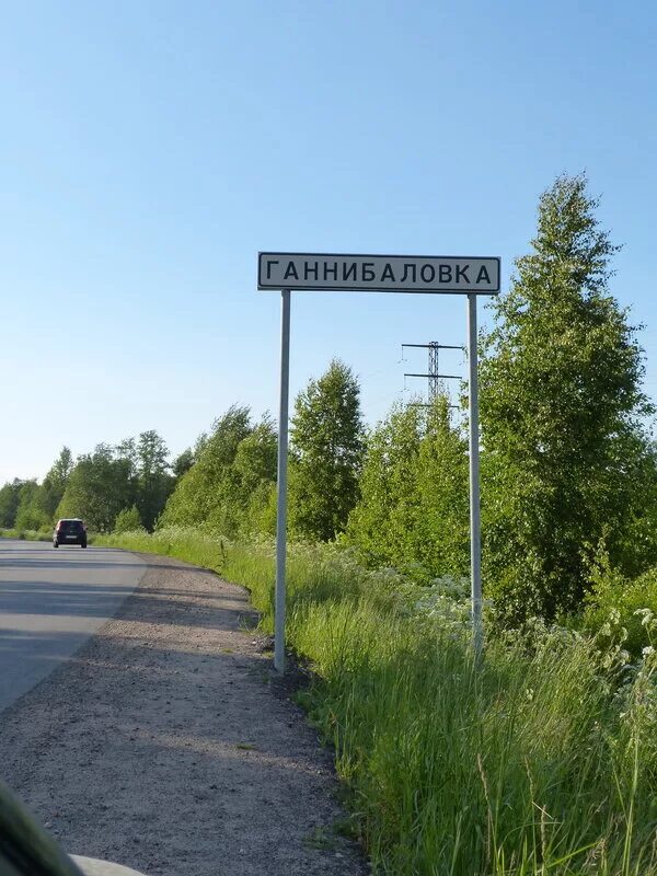 Ганнибаловка. Деревня ганнибаловка ленинградская область. Ганнибаловка. Ганнибаловка всеволожский район. Ганнибаловка.
