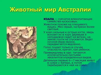 Животные австралии 4 класс