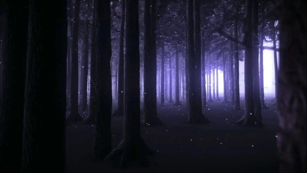 Лес ночью гача