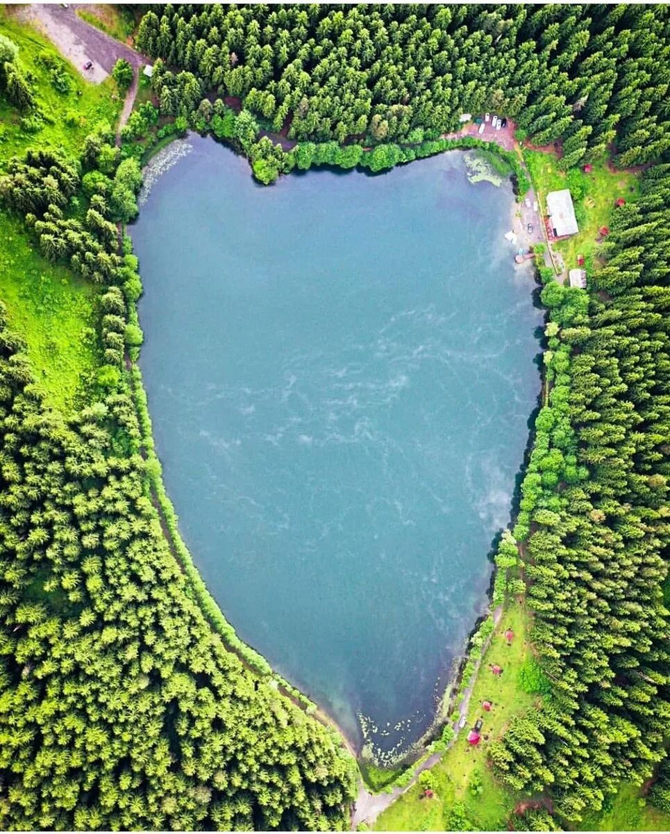 Водоем сверху