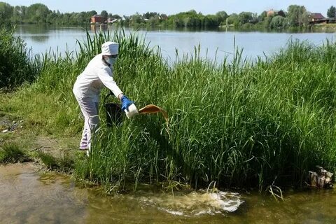 Обработка водоемов