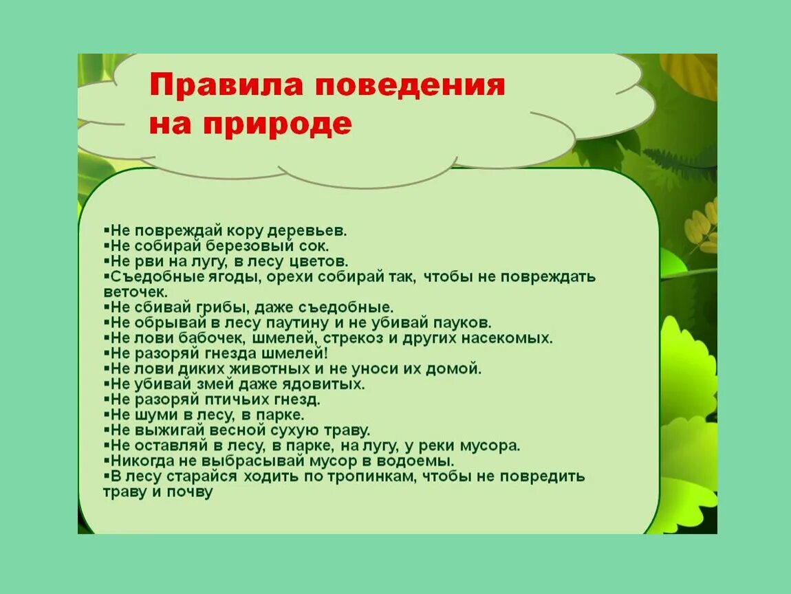 Правила поведения на природе. Правила поведения втприроде. Правила поведения на прирол. Правила поведения намприроде.