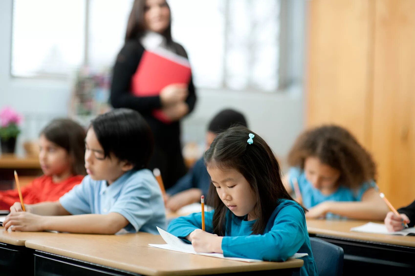 Training school. School student studying. Study in the Classroom. Classroom studying. Studying in class.