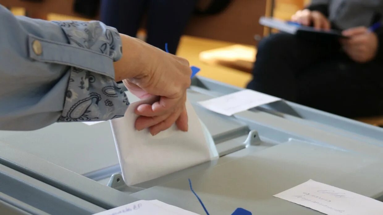 Голосование отзывы людей. Голосование по отзыву выборного лица местного самоуправления. голосование по отзыву это. голосование по отзыву депутата. отзыв депутата.