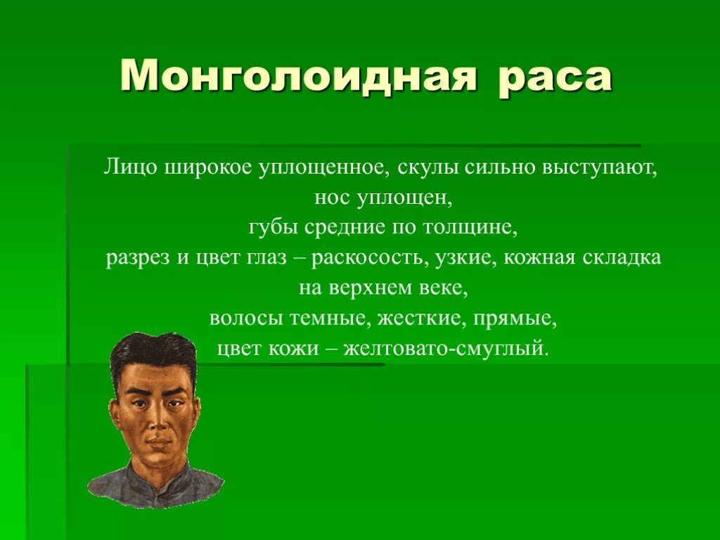 Монголоидная раса раса. Монголоидная раса характеристика. Особенности монголоидной расы. Монголоидная раса внешность.