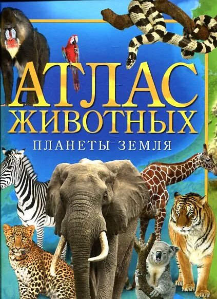 Планета животных книги. Атлас животных. Энциклопедия атлас животные.