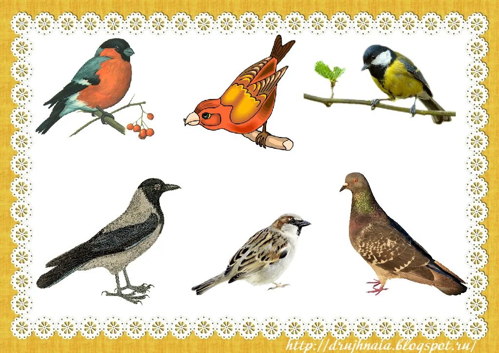 стих е о зимкющмх птицпх.