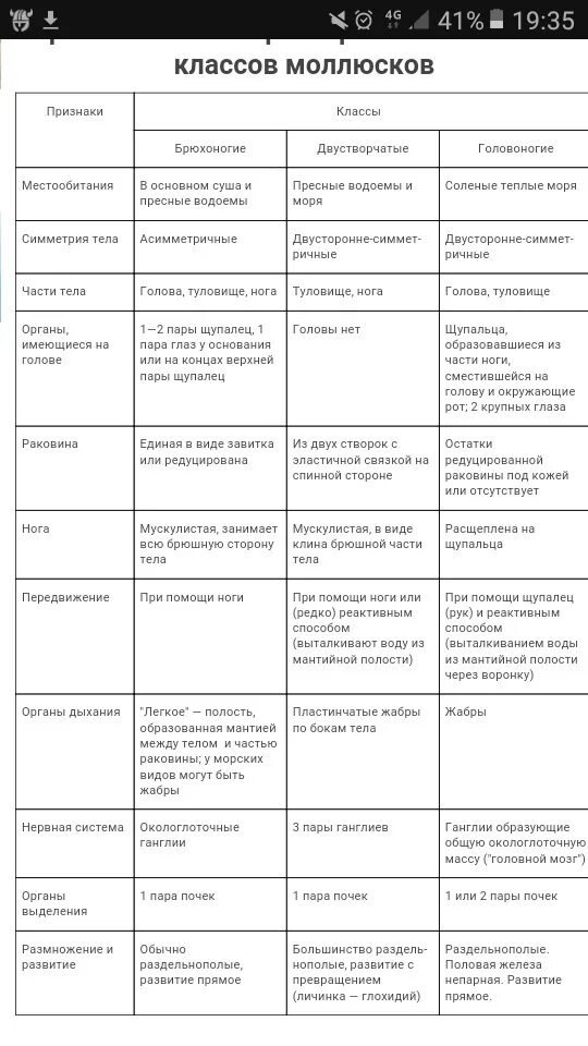 Сравнительная характеристика моллюсков таблица 7 класс. Тип моллюсков 7 класс биология таблица. Моллюски сравнительная характеристика классов таблица. Таблица Тип моллюски 7 класс биология. Брюхоногие признаки таблица