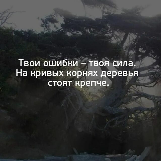 Твои ошибки твоя сила на кривых. Десять умных мыслей. Твои ошибки твоя сила на кривых. Beregi yeyo pachemu patamu shto mnogo jdut tvoy ashibki. Книга твоя ошибка.