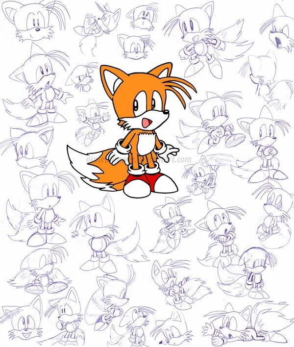 Tails animations. Майлз Тейлз Прауэр раскраски. Лисёнок Тейлз. Лис Тейлз зарисовки. Тейлз и Соник срисовка.