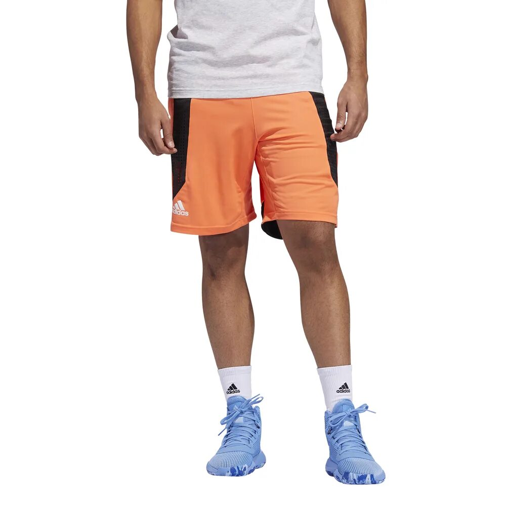 Create short. Шорты адидас creator 365. шорты мужские creator 365. баскетбольные шорты adidas basketball creator 365 shorts. adidas clima bb shorts.