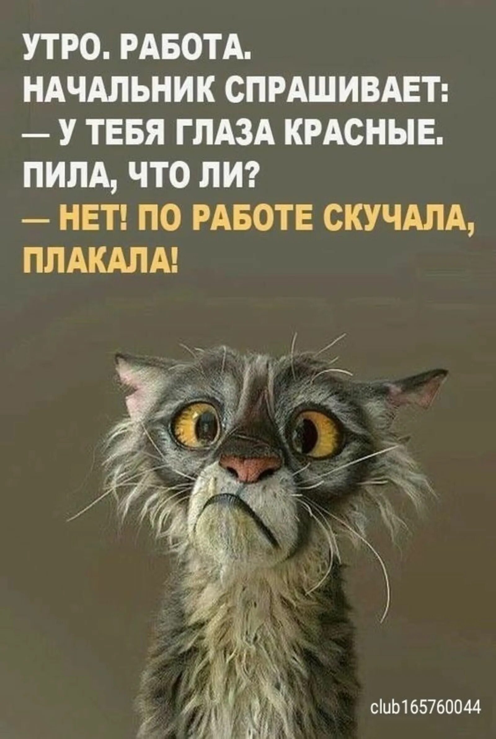 Смешные открытки для поднятия настроения. Позитивные рисунки для поднятия настроения. Картинка смешная про работу для поднятия настроения. Статусы про настроение прикольные. Картинка смешная про работу для поднятия настроения.