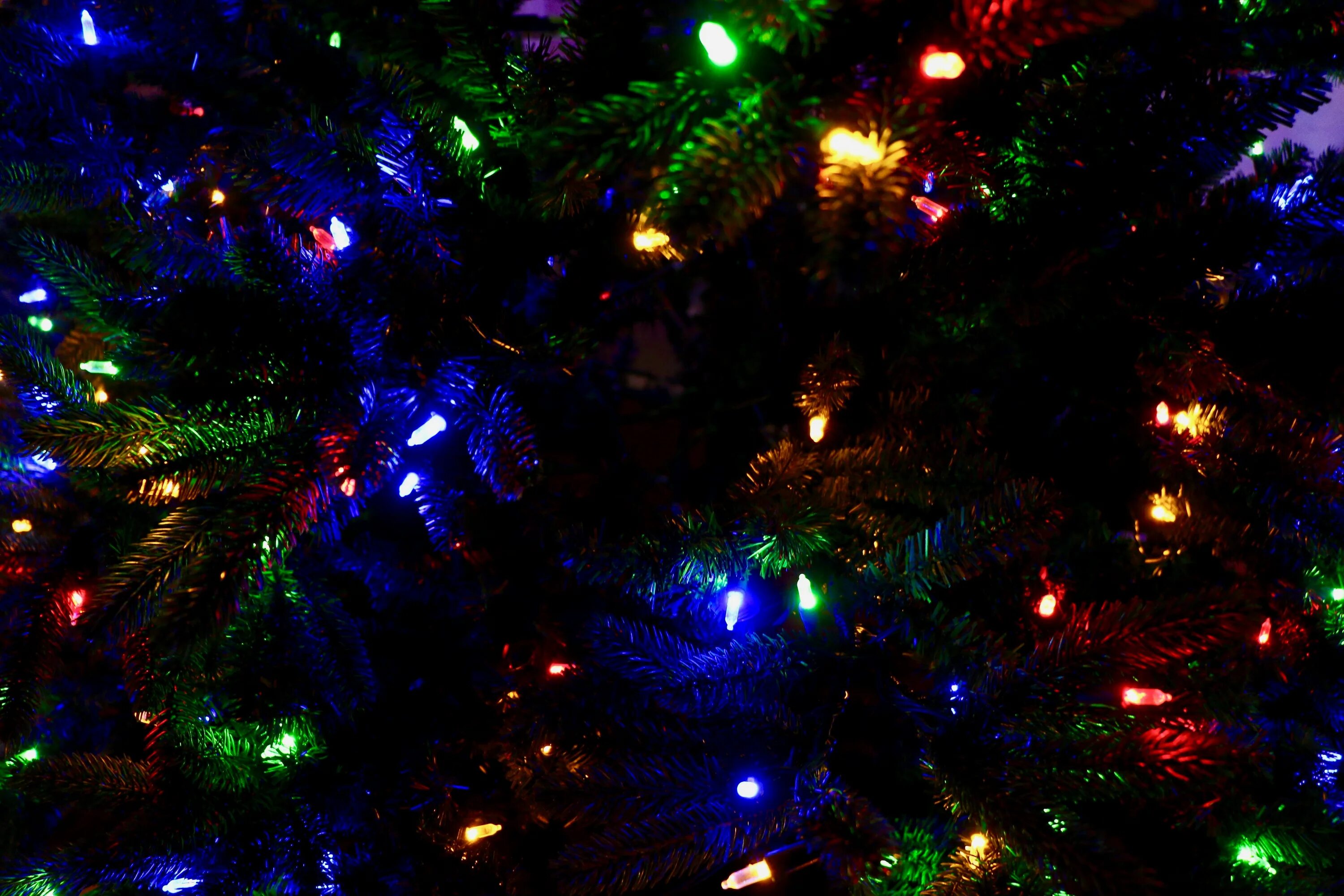 New years night. Новогодняя елка с гирляндой. Новогодние огоньки. Новогодние огни. Ель с огоньками.