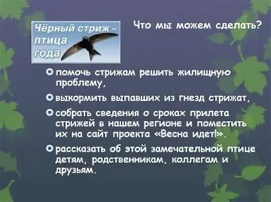 Эпитеты стрижонок скрип