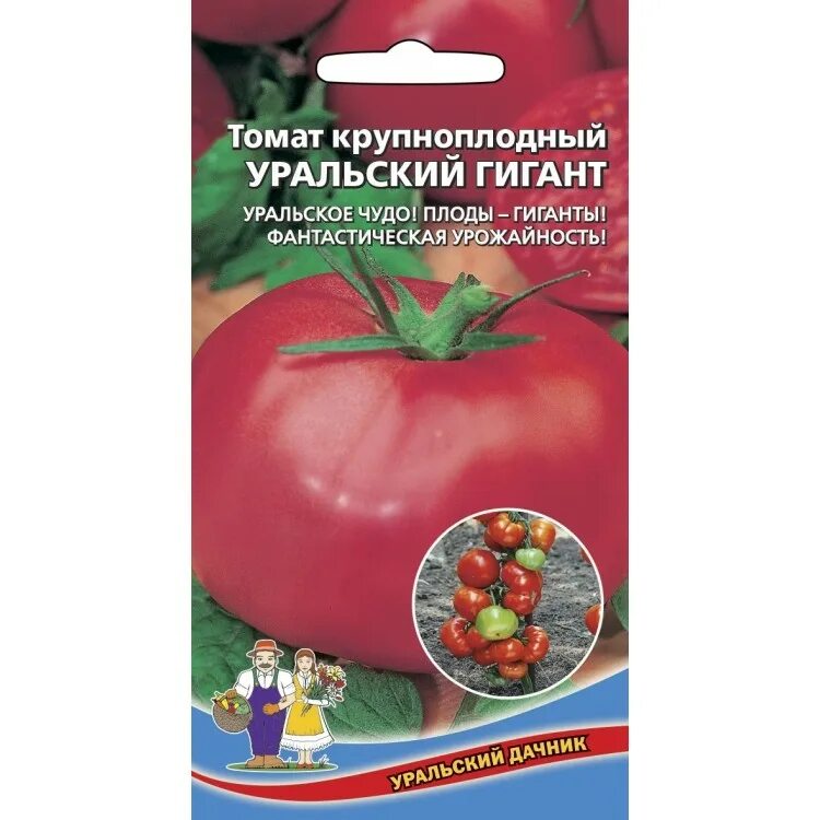The Best Heirloom Tomato Varieties to Grow This Year Heirloom tomatoes varieties