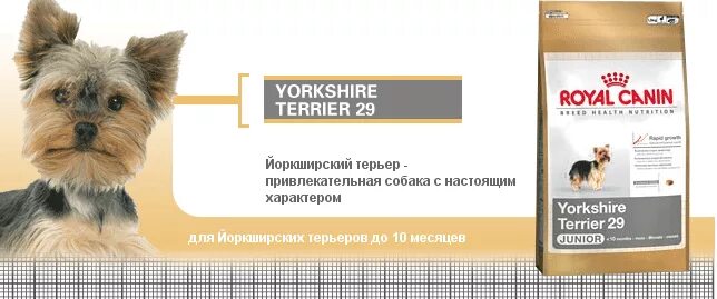 Норма корма для щенка Йорка 3 месяца. Витамины для йоркширского терьера. Корм для щенков йоркширского терьера. Сухие корма для йоркширских терьеров.