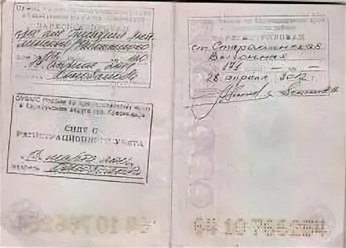 Чем отличается регистрация от прописки