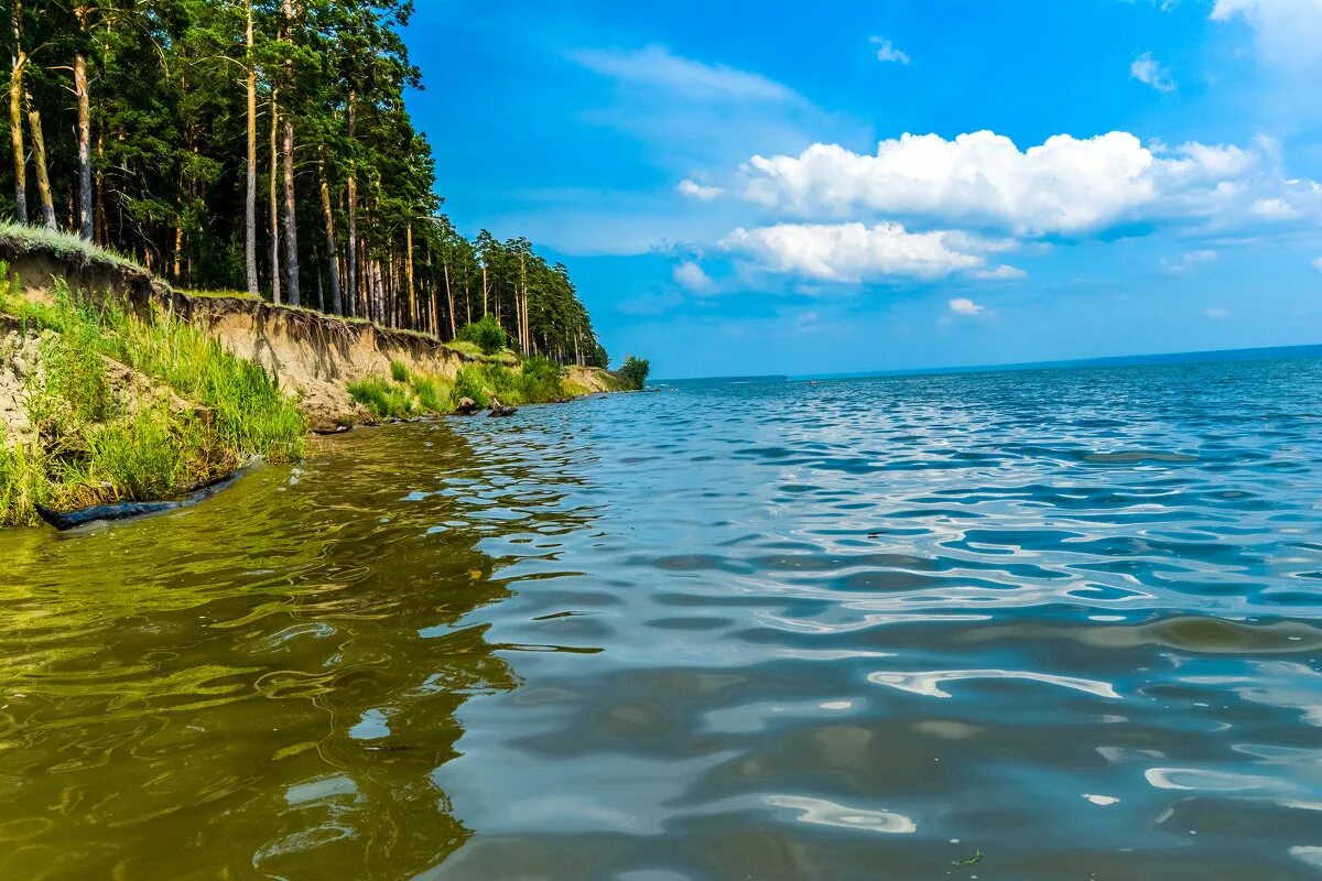 Свежий воздух и вода. Обрыв у соснового Бора. Лес с обрывом в воду. Фото вода воздух.