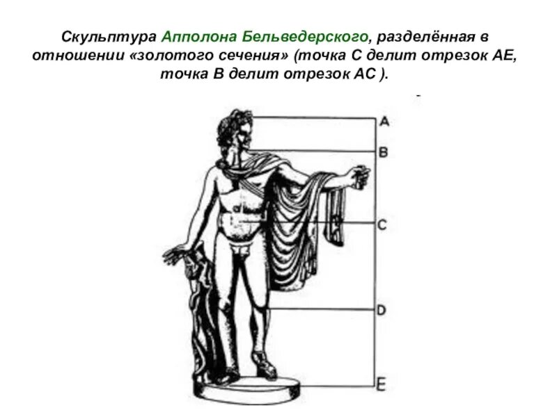 Размеры аполлона. Аполлон бельведерский золотое сечение. статуя аполлона золотое сечение. аполлон бельведерский скульптура золотое сечение. золотая пропорция статуи аполлона бельведерского.