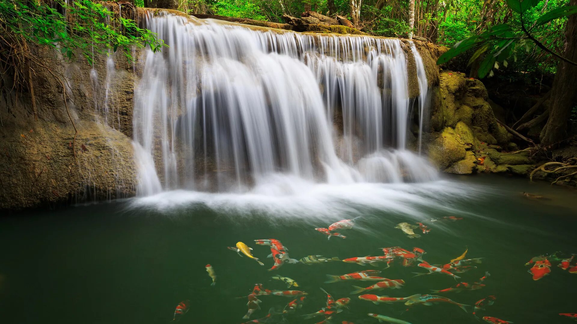 Установить видео живые обои. Водопад Эраван. Водопад Эраван рыбки. Парк Эраван Таиланд. Фон для рабочего стола водопад.