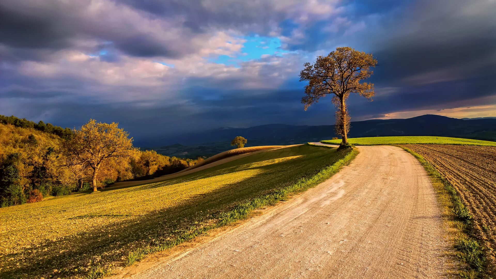 Пейзаж с дорогой. Природа дорога. Красивый пейзаж с дорогой. Фон природа дорога.