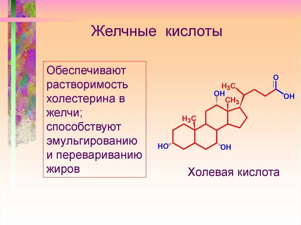 Холестерин желчных кислот. Холевая кислота формула. формула холевой кислоты биохимия. нумерация холевой кислоты. холевая кислота гликохолевая кислота.