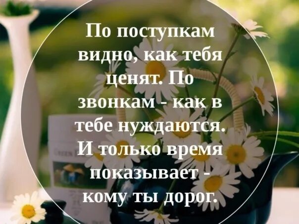 Вид и не нуждается в. По поступкам видно как тебя ценят. цитата по поступкам видно как тебя ценят. только по поступкам видно как тебя ценят. по поступкам видно как тебя.